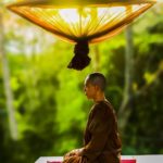 yogi life vishaya kagga
