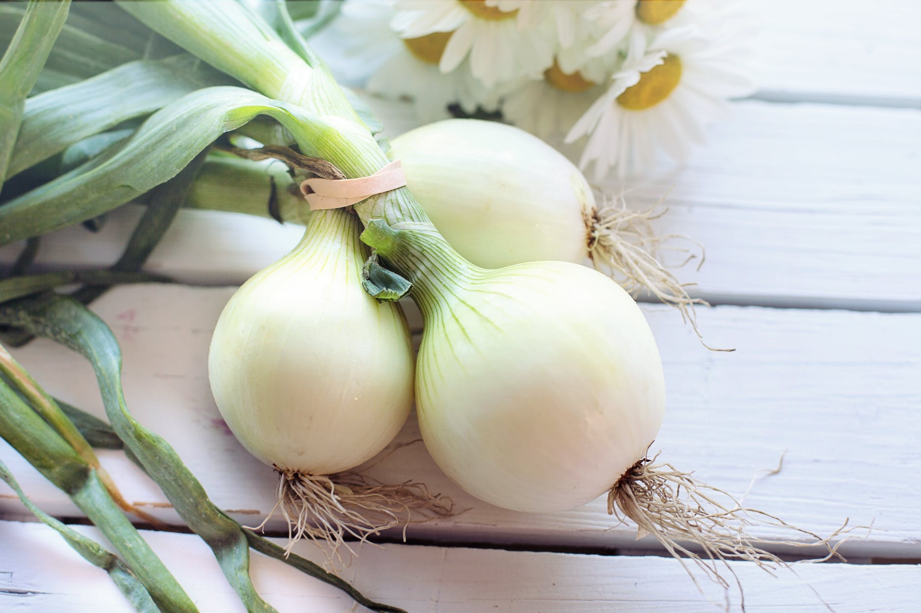 ಈರುಳ್ಳಿ onion benefits